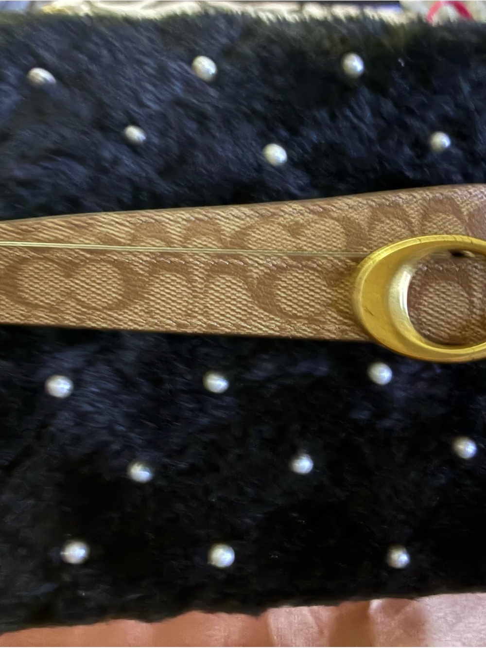Coach Tan Signature Canvas Belt with Gold Oval Buckle